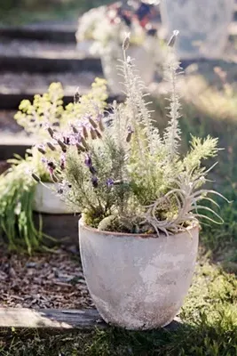 Canyon Ceramic Egg Planter - Blue by Anthropologie, alternate view