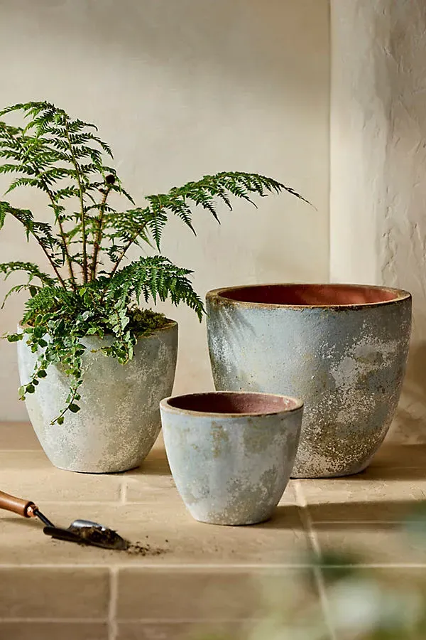 Canyon Ceramic Egg Planter - Blue by Anthropologie