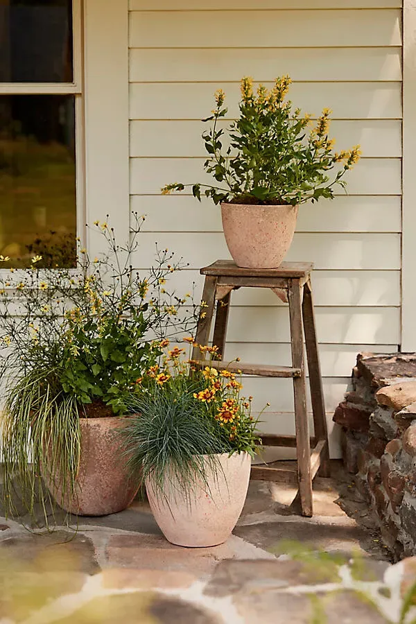 Canyon Ceramic Egg Planter - Orange by Anthropologie