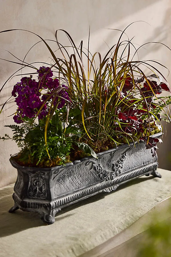 Cast Iron French Trough Planter - Grey by Anthropologie