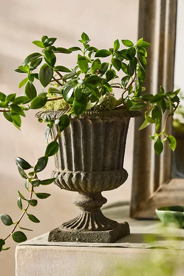 Cast Iron Linea Urn Planter - Green, Cast Iron by Anthropologie