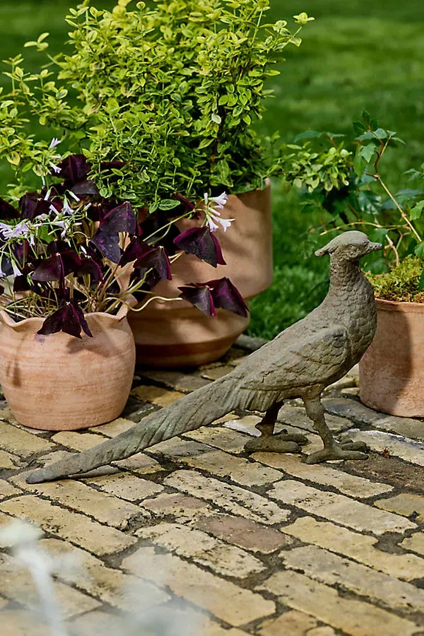 Cast Iron Pheasant Sculpture by Anthropologie