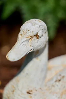 Cast Iron Resting Duck Ornament - Ivory product