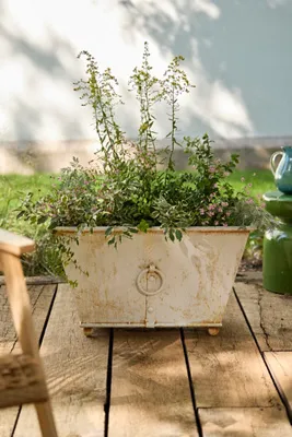 Cast Iron Trough Planter - Ivory by Anthropologie, image 2