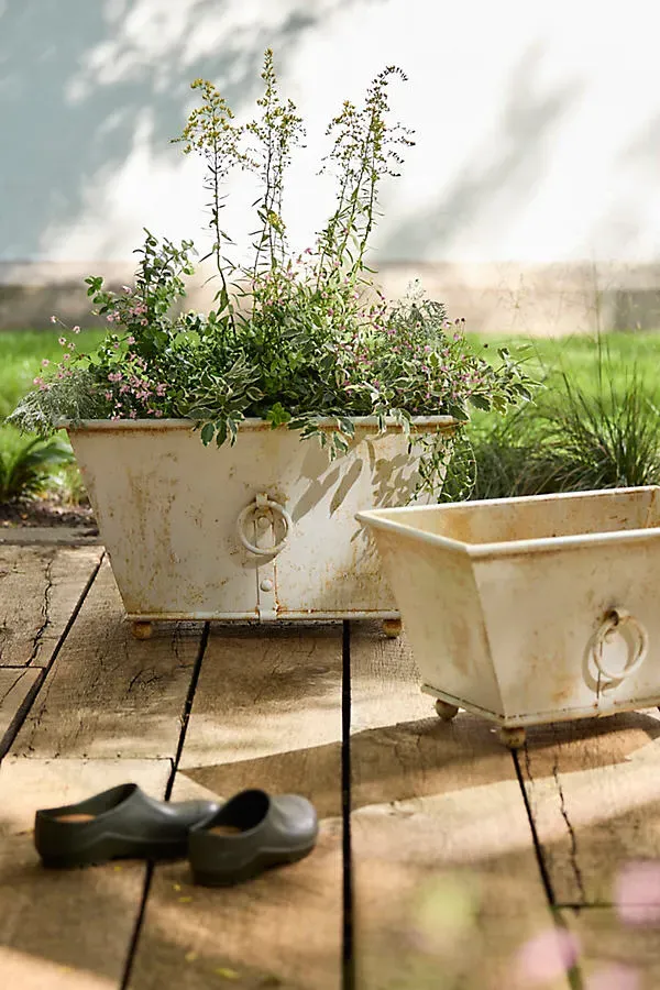 Cast Iron Trough Planter - Ivory by Anthropologie