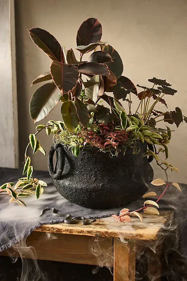 Cauldron Planter - Black, Iron product