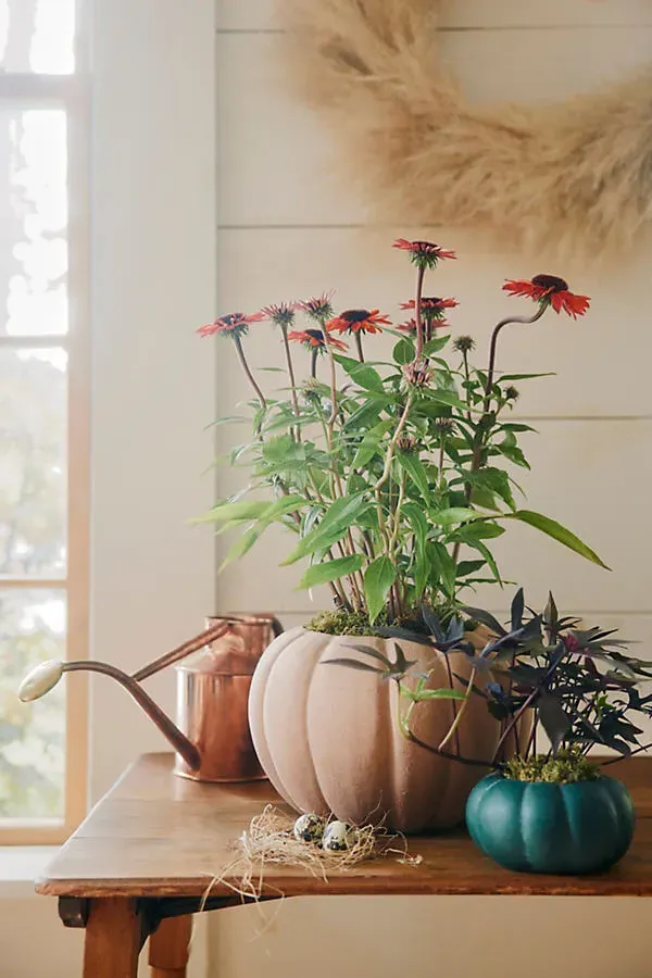 Ceramic Pumpkin Planter - Orange, Terracotta by Anthropologie