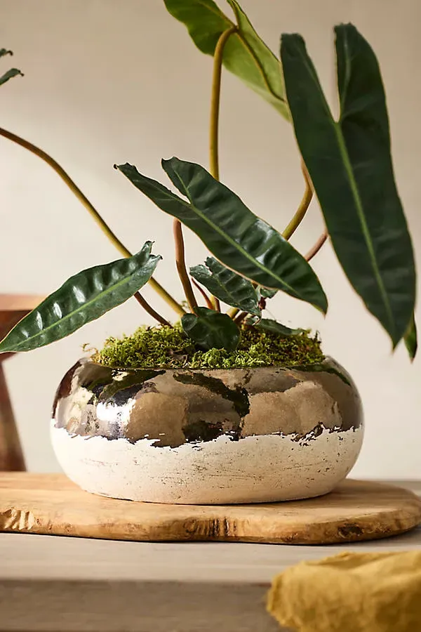 Colorblock Ceramic Bowl Planter - Gold by Anthropologie