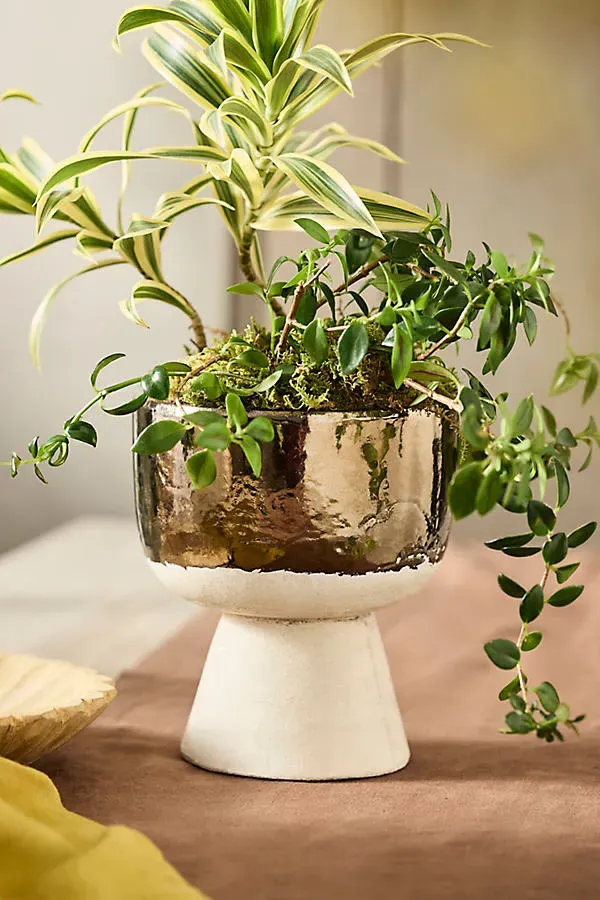 Colorblock Ceramic Urn Planter - Gold by Anthropologie