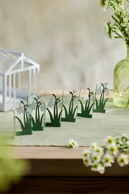 Concordville Spring Snowdrop Row - Green, Iron product