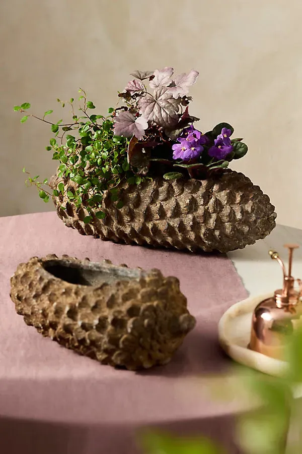Concrete Pinecone Oblong Planter - Brown, Concrete by Anthropologie