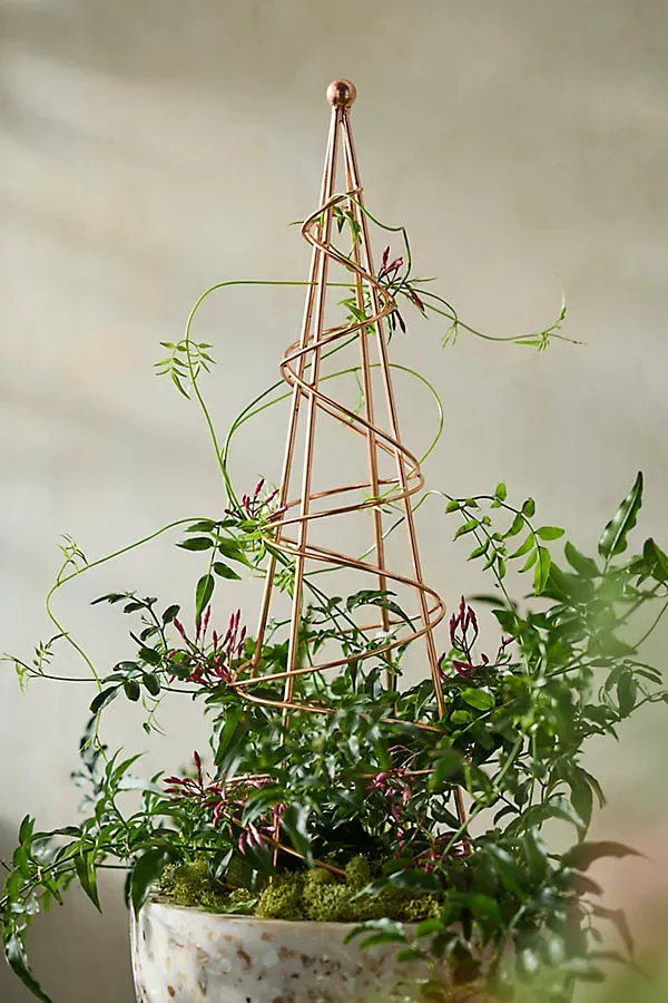 Copper Spiral Plant Obelisk - Copper by Anthropologie