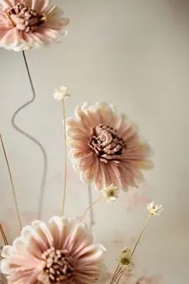 Crafted Botanical Daisy Bunch - Sola Wood by Anthropologie, alternate view