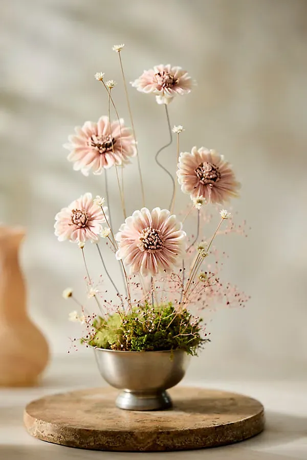 Crafted Botanical Daisy Bunch - Sola Wood by Anthropologie