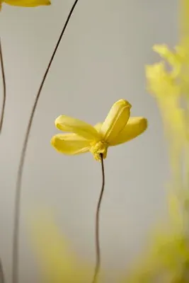 Crafted Botanical Jasmine Bunch - Yellow, Sola Wood product