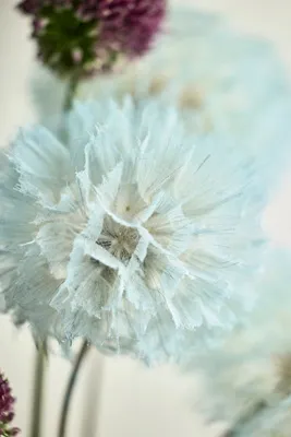 Crafted Botanical Pastel Dandelion Stems Set of 5 - Blue by Anthropologie, image 2