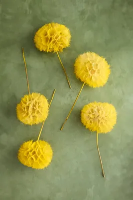 Crafted Botanical Pastel Dandelion Stems Set of 5 - Yellow product