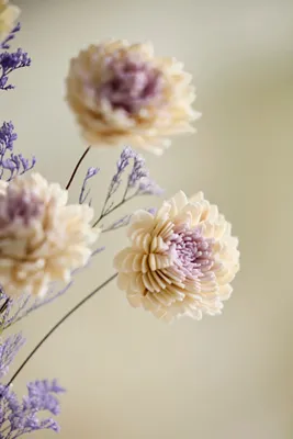 Crafted Botanical Zinnia Bunch - Purple, Sola Wood product