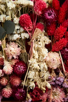 Crimson Blooms Dried Floral Scatter - Red product