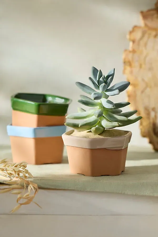 Dipped Hexagon Galestro Pot - Green, Terracotta alternate view