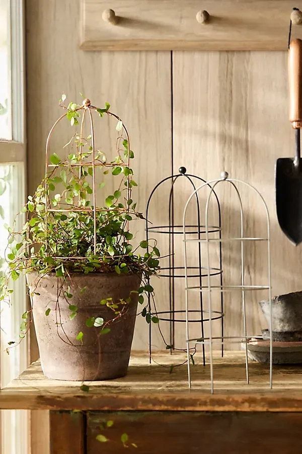 Domed Cylinder Iron Mini Trellis - Black by Anthropologie