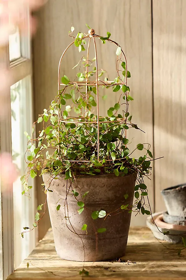 Domed Cylinder Iron Mini Trellis - Silver by Anthropologie