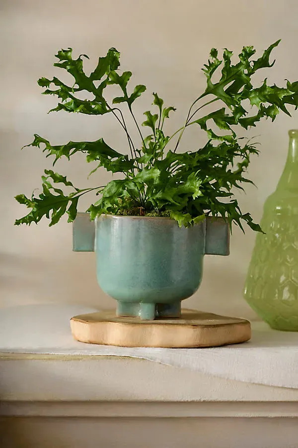 Double Handle Footed Ceramic Pot - Blue-Green by Anthropologie