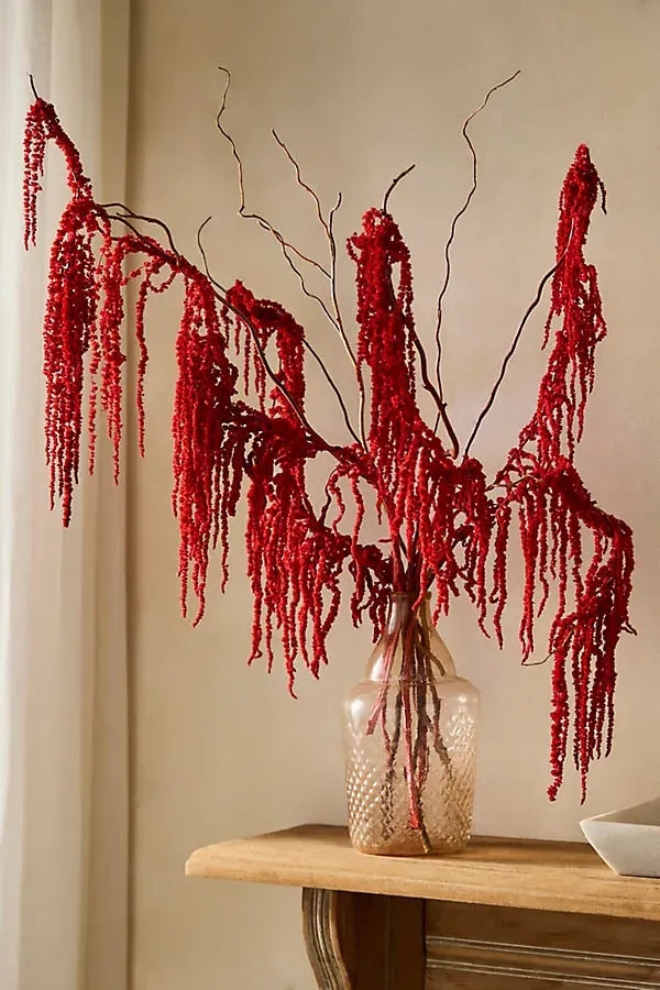 Dried Burgundy Amaranth Bunch - Red by Anthropologie
