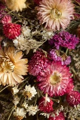 Dried Confetti Wreath - Mixed Florals by Anthropologie, image 2