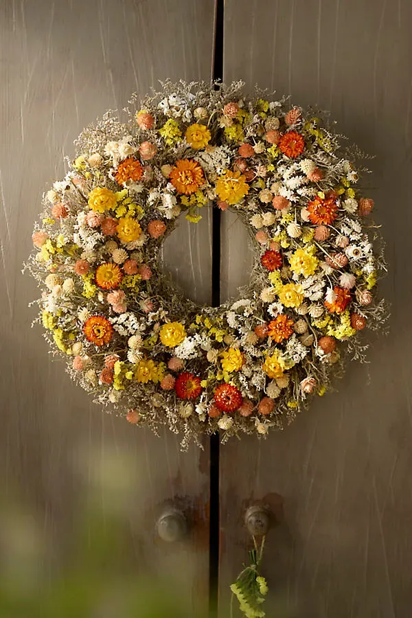 Dried Confetti Wreath - Mixed Florals by Anthropologie
