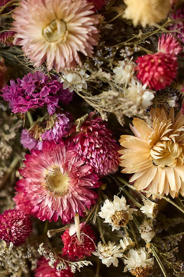 Dried Confetti Wreath - Pink by Anthropologie, image 2