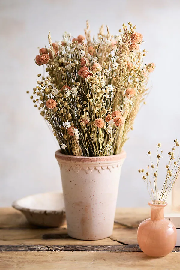 Dried Coral Gomphrena Floral Bouquet - Orange by Anthropologie
