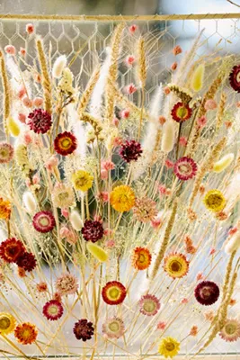 Dried Floral Hanging Frame - Dried Botanicals, Twig product