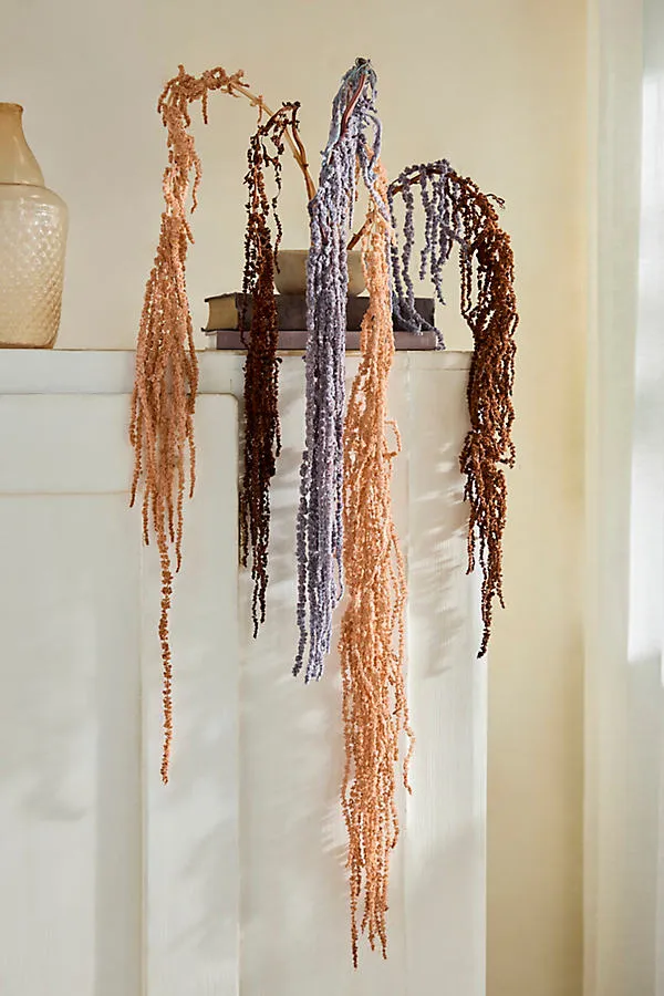Dried Hanging Amaranth Bunch - Brown by Anthropologie