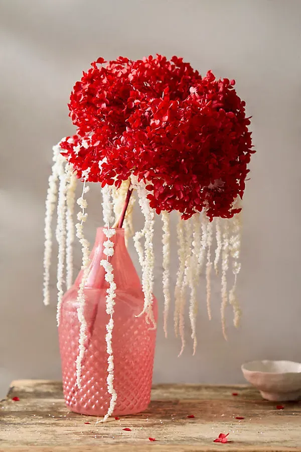 Dried Hydrangea Bunch - Red by Anthropologie