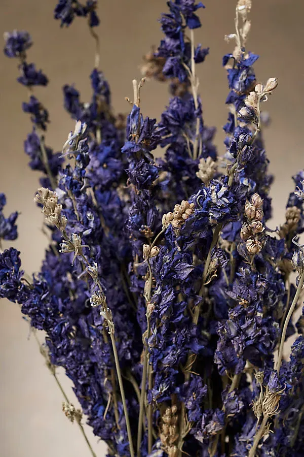 Dried Larkspur Bunch - Purple product