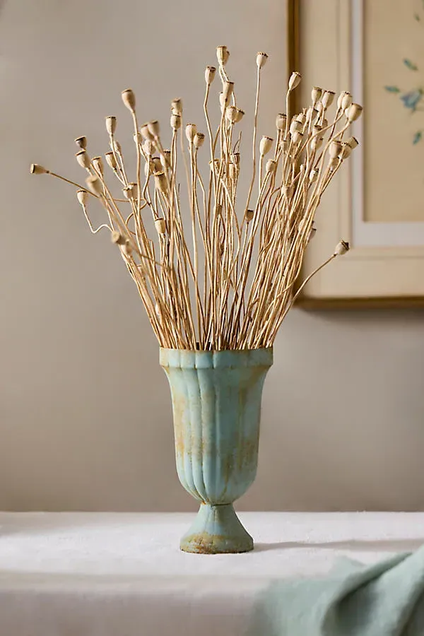 Dried Mini Papaver Bunch - Beige by Anthropologie