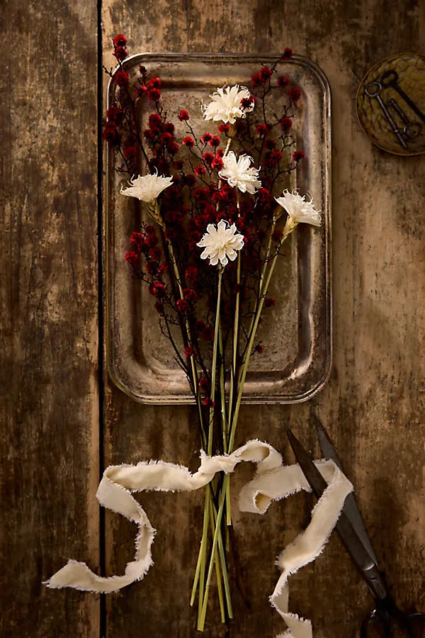 Dried White Sola Bunch by Anthropologie