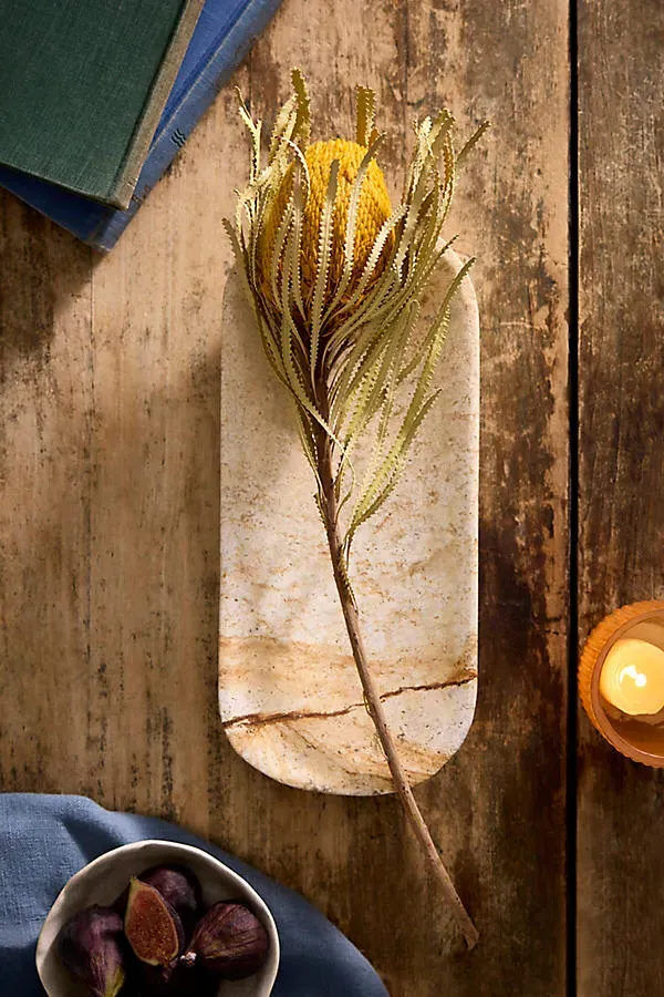Dried Yellow Banksia Stem by Anthropologie