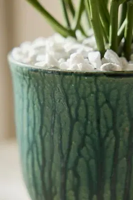 Drippy Ceramic Tulip Planter - Green product