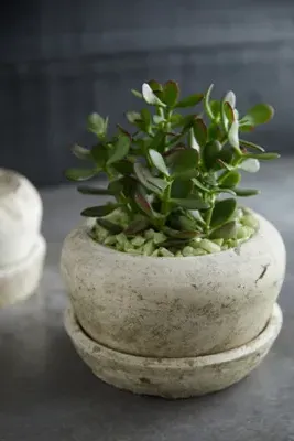 Earth Fired Clay Curve Pots with Saucers 2-Piece Set - White, Clay by Anthropologie, alternate view