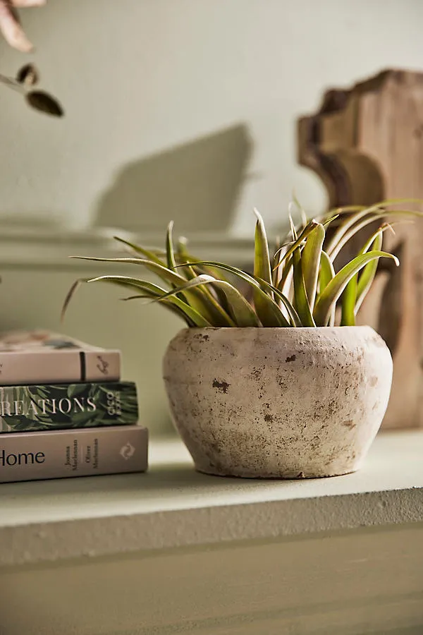 Earth Fired Clay Curve Pots with Saucers 2-Piece Set - White, Clay by Anthropologie