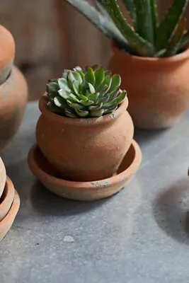 Earth Fired Clay Natural Curve Pots with Saucers, Set of 3 product
