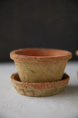 Earth Fired Clay Thin Rim Pot and Saucer Set of 3 - Brown, Clay product