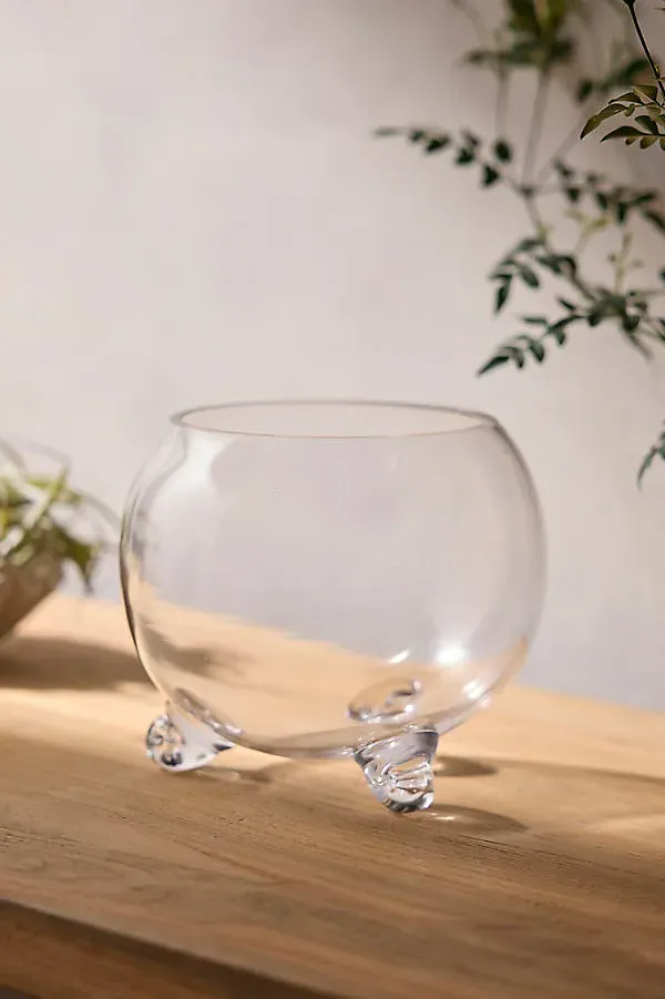 Elevated Fishbowl Terrarium - Clear Glass by Anthropologie, alternate view
