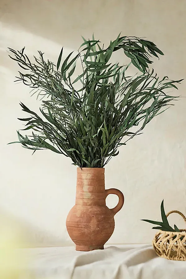Eucalyptus Nicoly Preserved Bunch - Green by Anthropologie