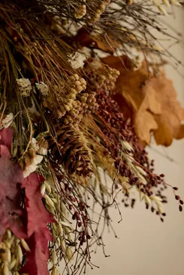 Fall Fields Dried Botanical Wreath by Anthropologie, image 2