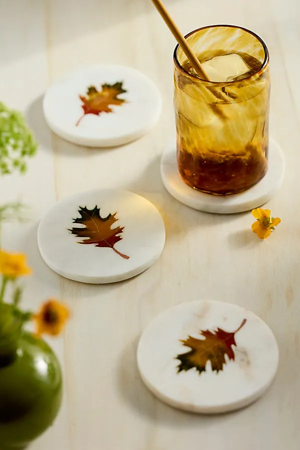 Fall Leaf Marble Coasters Set of 4 - White, Marble by Anthropologie