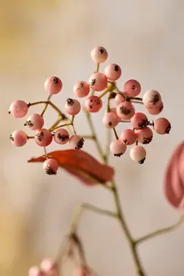 Faux Berry & Leaf Spray - Pink, Polyester by Anthropologie, image 2