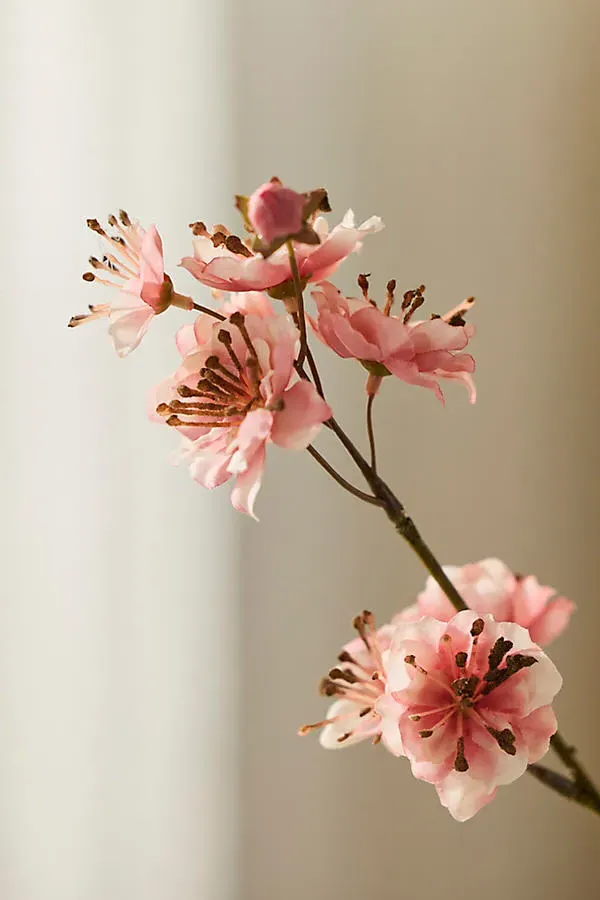 Faux Blossom Spray - Pink, Polyester by Anthropologie, image 2